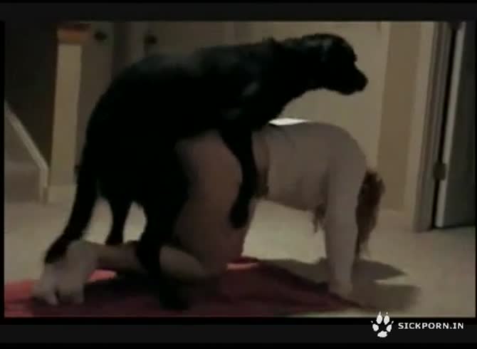 Video :Sexy teen beastiality sex with a black dog